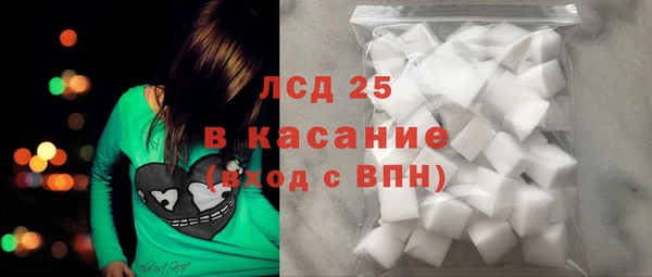 ПСИЛОЦИБИНОВЫЕ ГРИБЫ Абаза