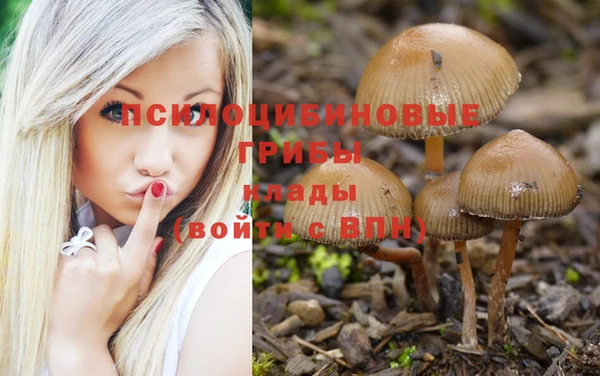 бошки Абинск