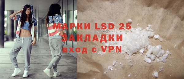 ПСИЛОЦИБИНОВЫЕ ГРИБЫ Абаза