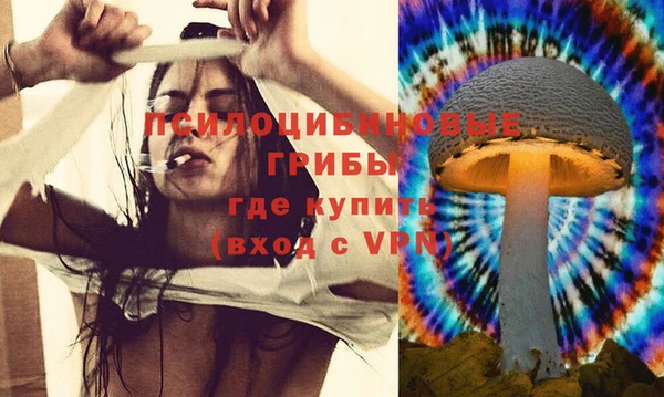 mix Алексеевка