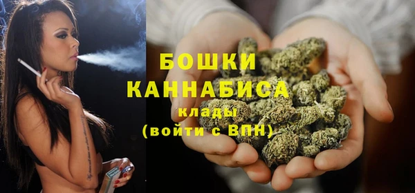 ПСИЛОЦИБИНОВЫЕ ГРИБЫ Абаза