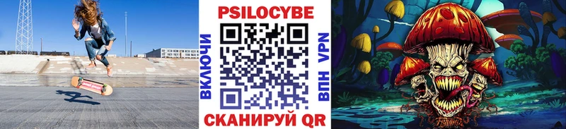 купить   Благовещенск  Галлюциногенные грибы GOLDEN TEACHER 
