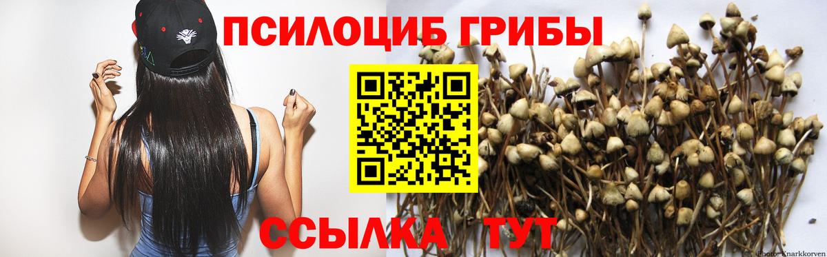 Псилоцибиновые грибы прущие грибы Благовещенск