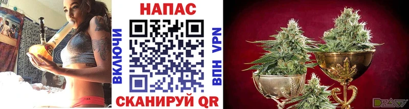 закладки  Благовещенск  Шишки марихуана марихуана 
